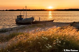 Sõrvenniemi, Saarenmaa, Viro