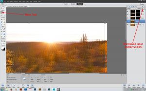 Kuvien kohdistaminen Move Tool:in avulla, kohdistettavan tason peittävyydeksi 50%